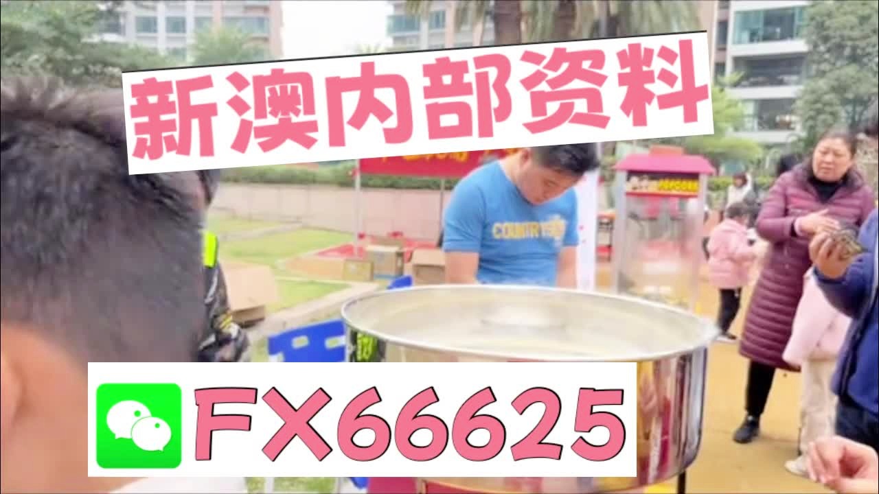 新奧2025資料大全最新版本，全面解析與深度洞察，新奧2025資料大全最新版，全面解析與深度洞察報(bào)告