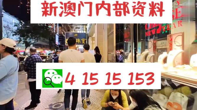 探索未來，2025新澳最新版精準(zhǔn)特色解析，探索未來，揭秘新澳最新版精準(zhǔn)特色解析（2025版）