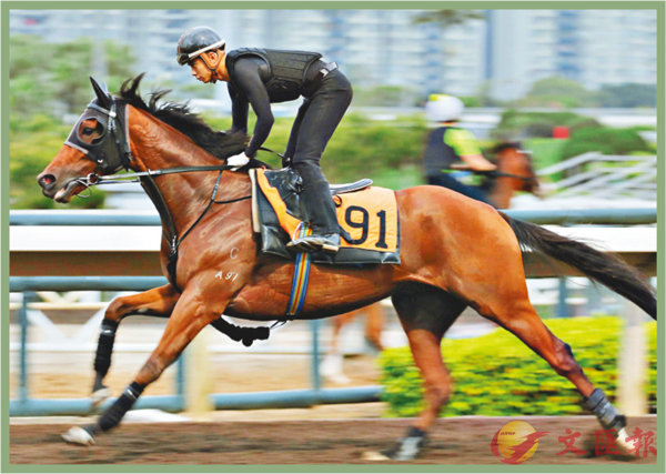 香港賽馬，探索數(shù)字背后的激情與榮耀，香港賽馬，數(shù)字背后的激情與榮耀之旅
