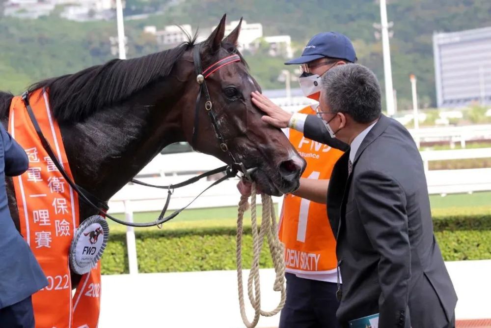 探索香港馬官網，一站式體驗7777788888的精彩世界，探索香港馬官網，一站式體驗精彩世界，7777788888的魅力之旅