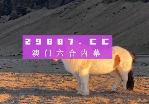 澳門天天彩資料正版免費特色快8，探索彩票世界的魅力與機遇，澳門天天彩正版特色快8，彩票世界的魅力與機遇探索