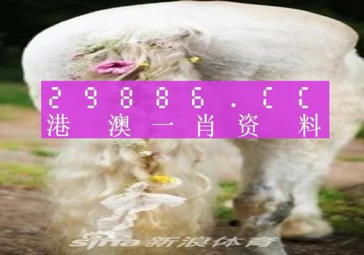 澳門羊了個羊與各大圖庫的資料揭秘，2023年澳門今晚必中一肖一碼永久免費資料庫大解密，澳門羊了個羊與資料庫揭秘，2023年必中一肖一碼永久免費資料大解密