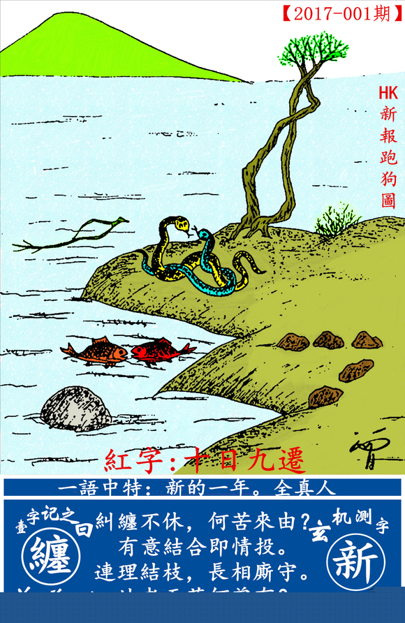 探索全新版跑狗圖，7777788888的魅力與策略，探索全新版跑狗圖，7777788888的魅力與攻略解析