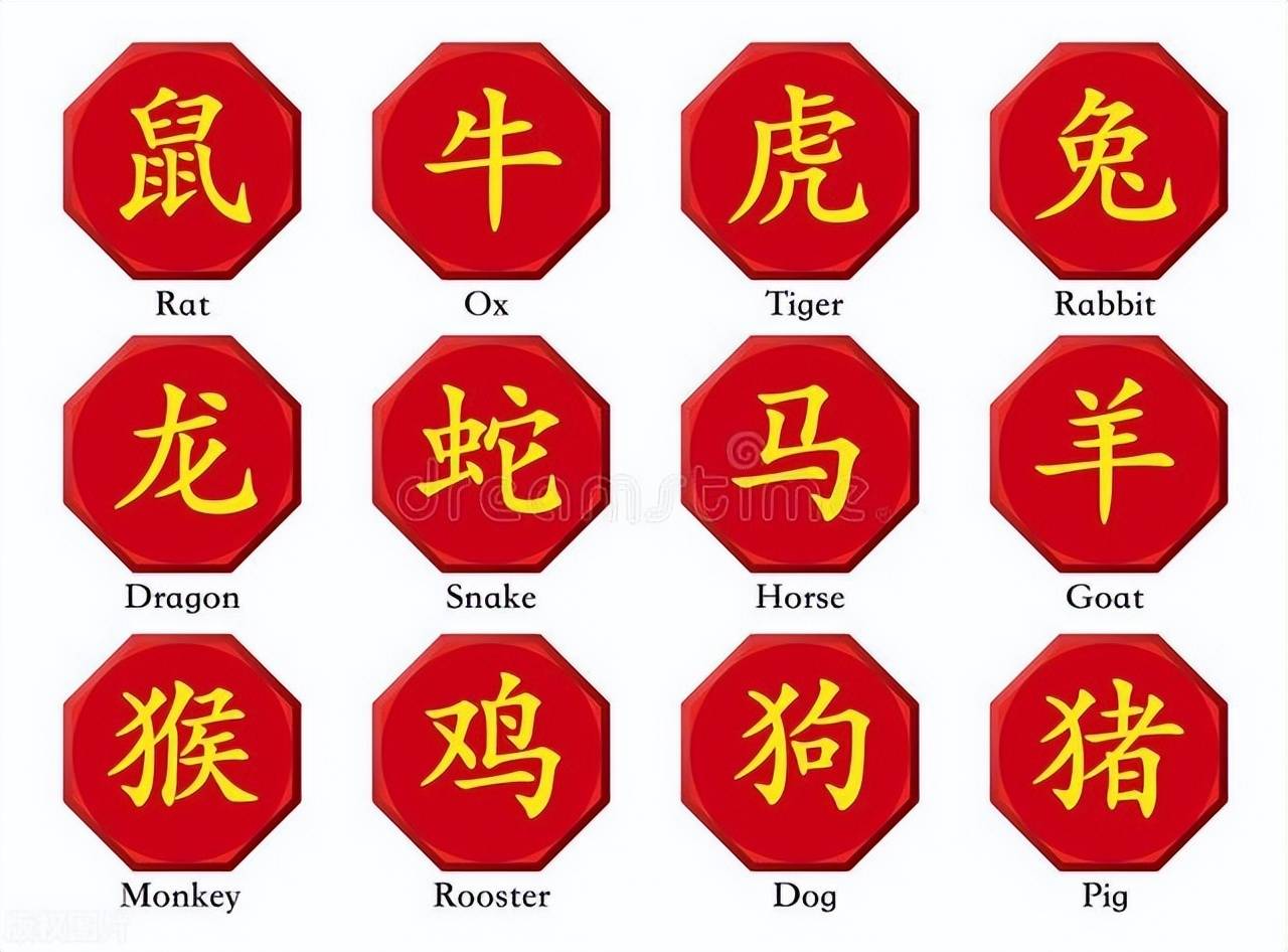 新澳特碼，羊牛虎各數(shù)10——揭秘背后的數(shù)字奧秘，揭秘新澳特碼數(shù)字奧秘，羊?；⒏鲾?shù)背后的秘密