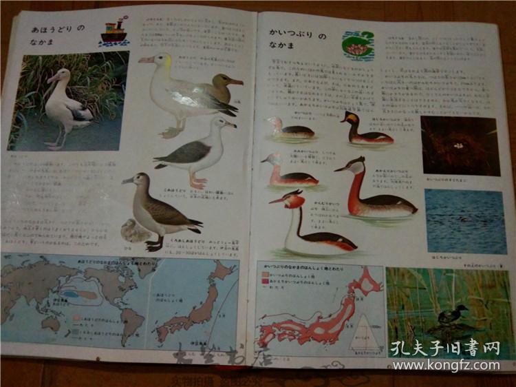 今日正版跑狗圖分享，探索7777788888跑狗圖的魅力，今日正版跑狗圖分享，探索魅力十足的777778跑狗圖