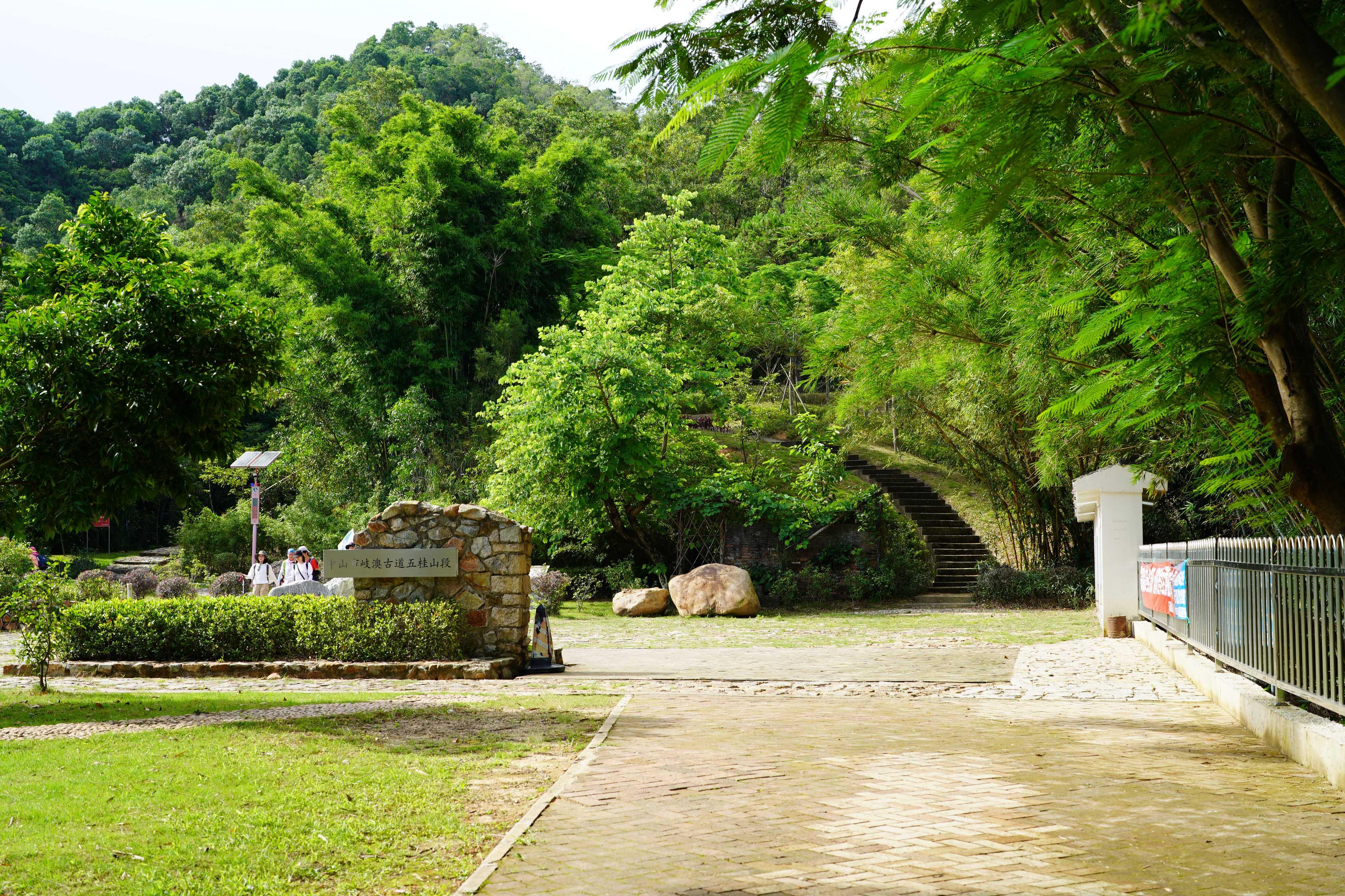 新澳門彩生肖走勢(shì)圖，探索與解讀彩票背后的秘密，探索解讀新澳門彩生肖走勢(shì)圖，彩票背后的秘密揭秘