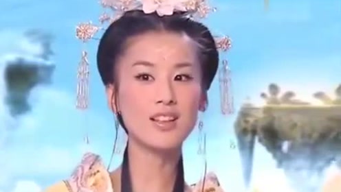 曾道道人資料免費(fèi)大全，深度探索與解析，曾道道人資料深度解析與免費(fèi)大全探索