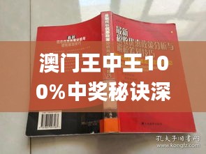 新澳門王中王期期中，探索與解析，新澳門王中王期期中，深度探索與解析