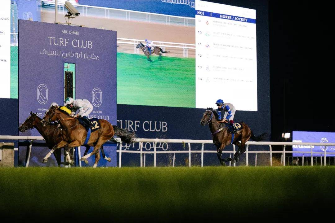 澳門特馬今晚開獎一，探索彩票背后的秘密與期待，澳門特馬今晚開獎，揭秘彩票背后的秘密與期待大獎的激動心情