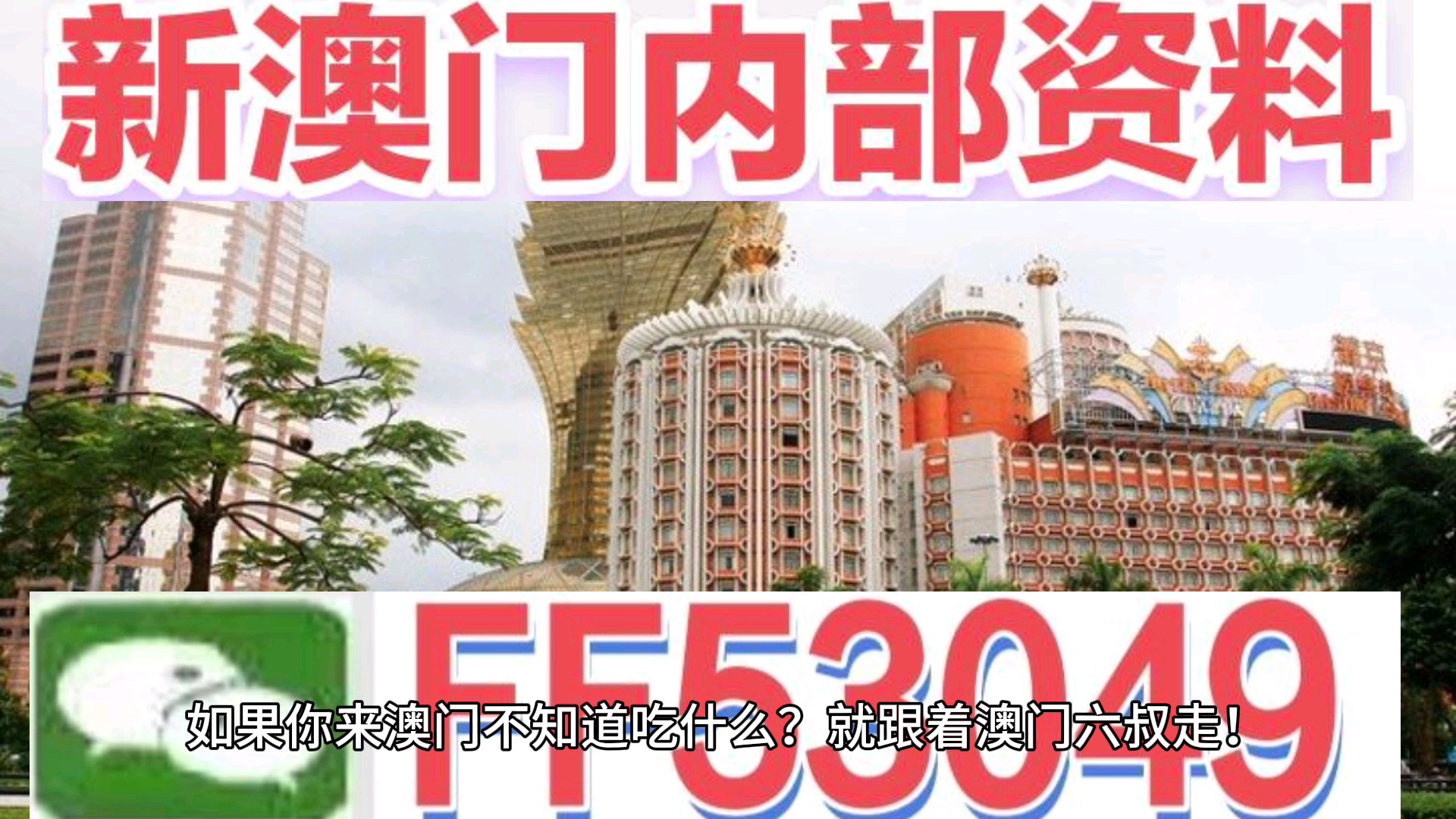 澳門今晚特馬生肖預(yù)測，探尋未來的幸運符號（2025年），澳門生肖預(yù)測揭秘，探尋未來幸運符號（特馬生肖預(yù)測 2025年展望）