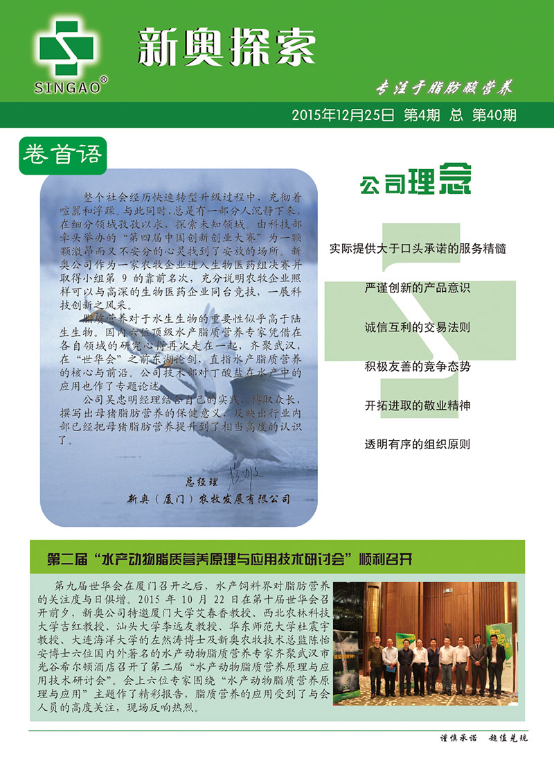 2025新澳正版資料查詢(xún)指南，2025新澳正版資料查詢(xún)手冊(cè)