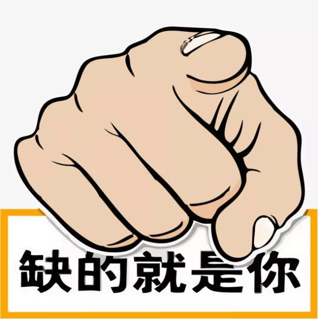 鐵算盤，全網(wǎng)矚目，傾力打造引領(lǐng)潮流的火熱品牌！，鐵算盤引領(lǐng)潮流，全網(wǎng)矚目成火熱品牌！