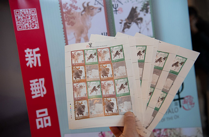 澳門值日生肖600圖庫與八百圖庫開獎，探索生肖圖庫的魅力與奧秘，澳門生肖圖庫開獎揭秘，探索值日生肖600圖庫與八百圖庫的魅力與奧秘