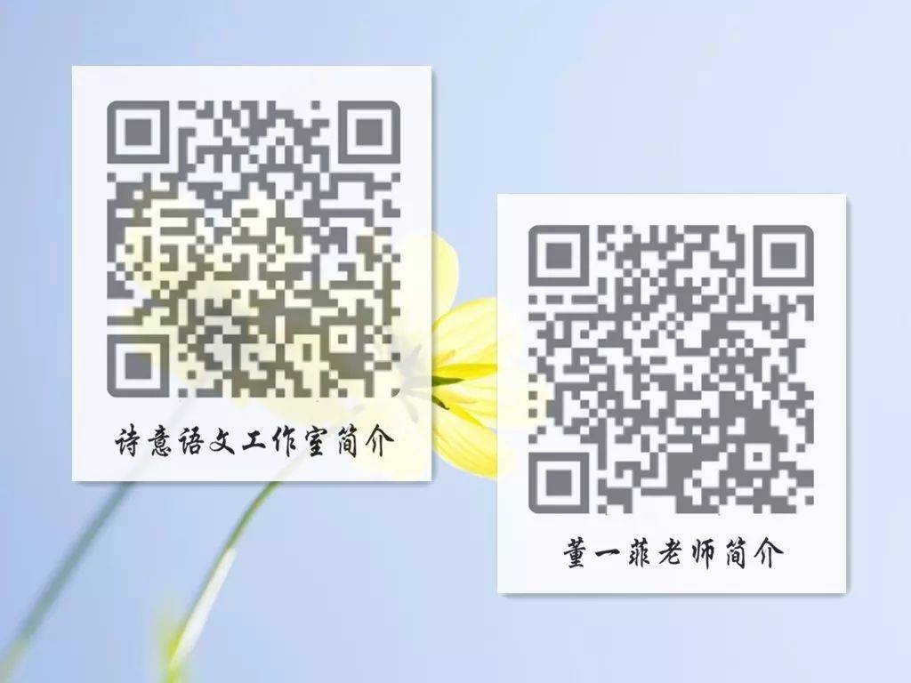 一碼一肖一特一，揭秘背后的秘密與獨(dú)特之處，揭秘一碼一肖一特一的獨(dú)特之處與背后秘密