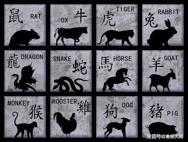 新澳特碼，羊?；⒏鲾?shù)10的獨(dú)特魅力與解析，新澳特碼，羊牛虎各數(shù)10的獨(dú)特魅力深度解析
