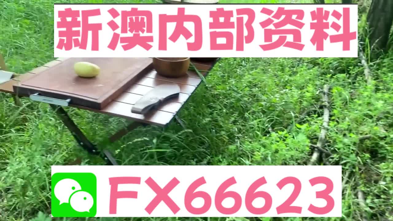 新奧特碼走勢圖解析與預(yù)測，新奧特碼走勢圖解析與預(yù)測，未來趨勢探討