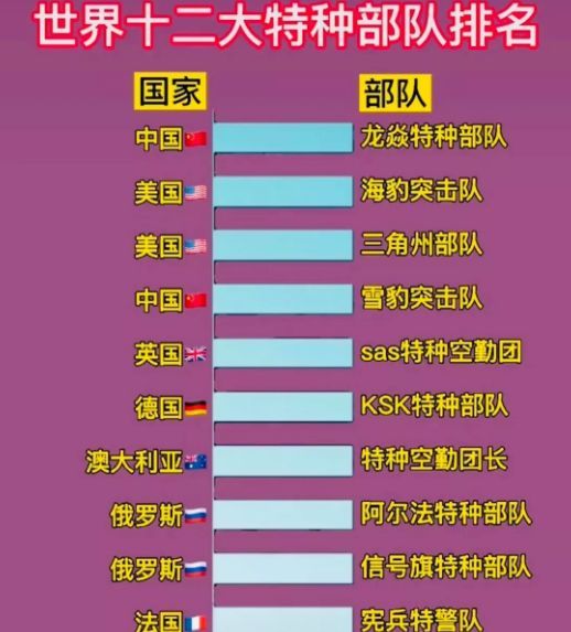 中國(guó)十大王牌特種部隊(duì)，實(shí)力與榮耀的象征，中國(guó)十大王牌特種部隊(duì)，實(shí)力與榮耀的巔峰標(biāo)志