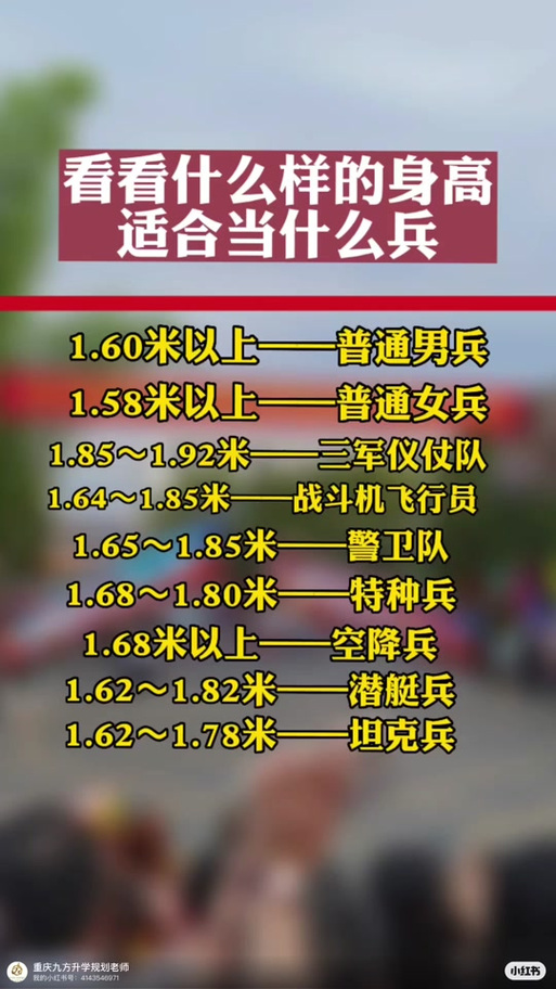 儀仗兵身高標(biāo)準(zhǔn)，探究與解析，儀仗兵身高標(biāo)準(zhǔn)，探究與詳解