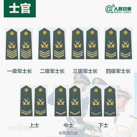 全球各國(guó)軍士長(zhǎng)軍銜對(duì)照表及其重要性，全球各國(guó)軍士長(zhǎng)軍銜對(duì)照表，揭示其重要性