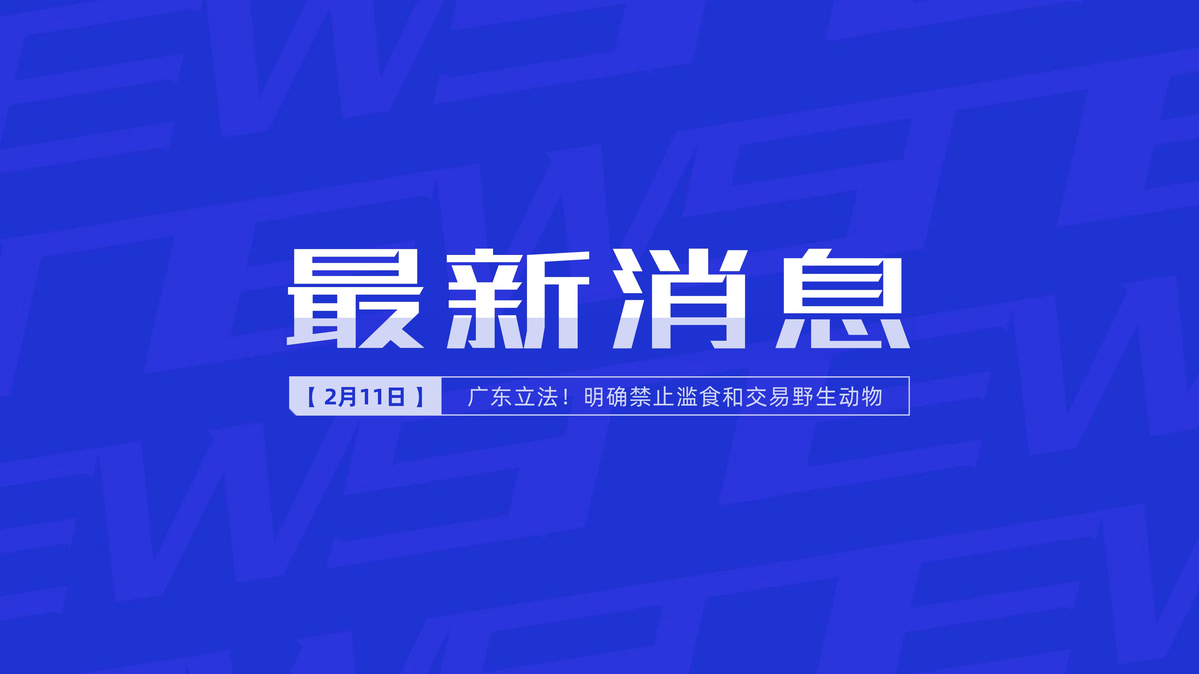 新聞最新新聞，掌握時事熱點(diǎn)，洞悉世界動態(tài)，時事熱點(diǎn)速遞，掌握全球最新動態(tài)新聞