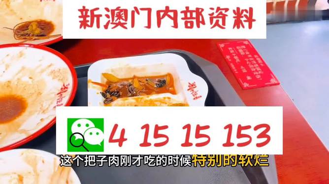 澳門(mén)王中王六碼新澳門(mén)，探索與解析，澳門(mén)王中王六碼新澳門(mén)，深度探索與解析
