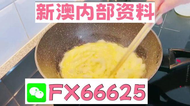 澳門九點(diǎn)半9點(diǎn)半網(wǎng)站——探索與體驗(yàn)，澳門九點(diǎn)半網(wǎng)站，探索與體驗(yàn)之旅