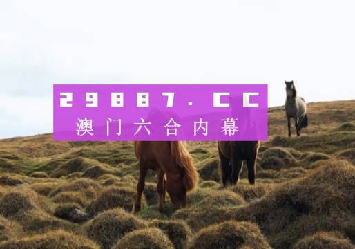澳門今晚9點(diǎn)35開(kāi)獎(jiǎng)結(jié)果揭曉，揭秘彩票背后的秘密，澳門今晚9點(diǎn)35開(kāi)獎(jiǎng)結(jié)果揭曉，彩票背后的秘密大揭秘
