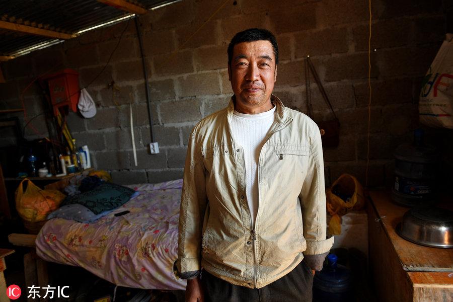 博科圣地組織，深度解析與理解，博科圣地組織深度解析與探究