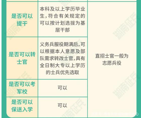 士官直招與義務(wù)兵的區(qū)別，深入了解軍隊(duì)招募制度，直招士官與義務(wù)兵招募制度深度解析，軍隊(duì)招募制度詳解