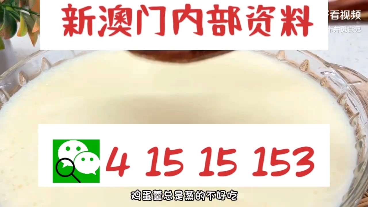 新澳門中特網(wǎng)中特馬，探索與解析，澳門中特馬探索與解析指南