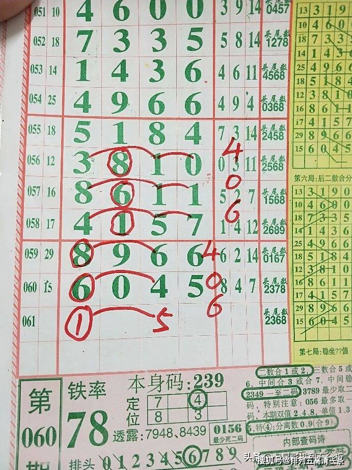 平特肖推算法，探索搜索引擎優(yōu)化的新境界，平特肖推算法，開啟搜索引擎優(yōu)化新境界的探索之旅