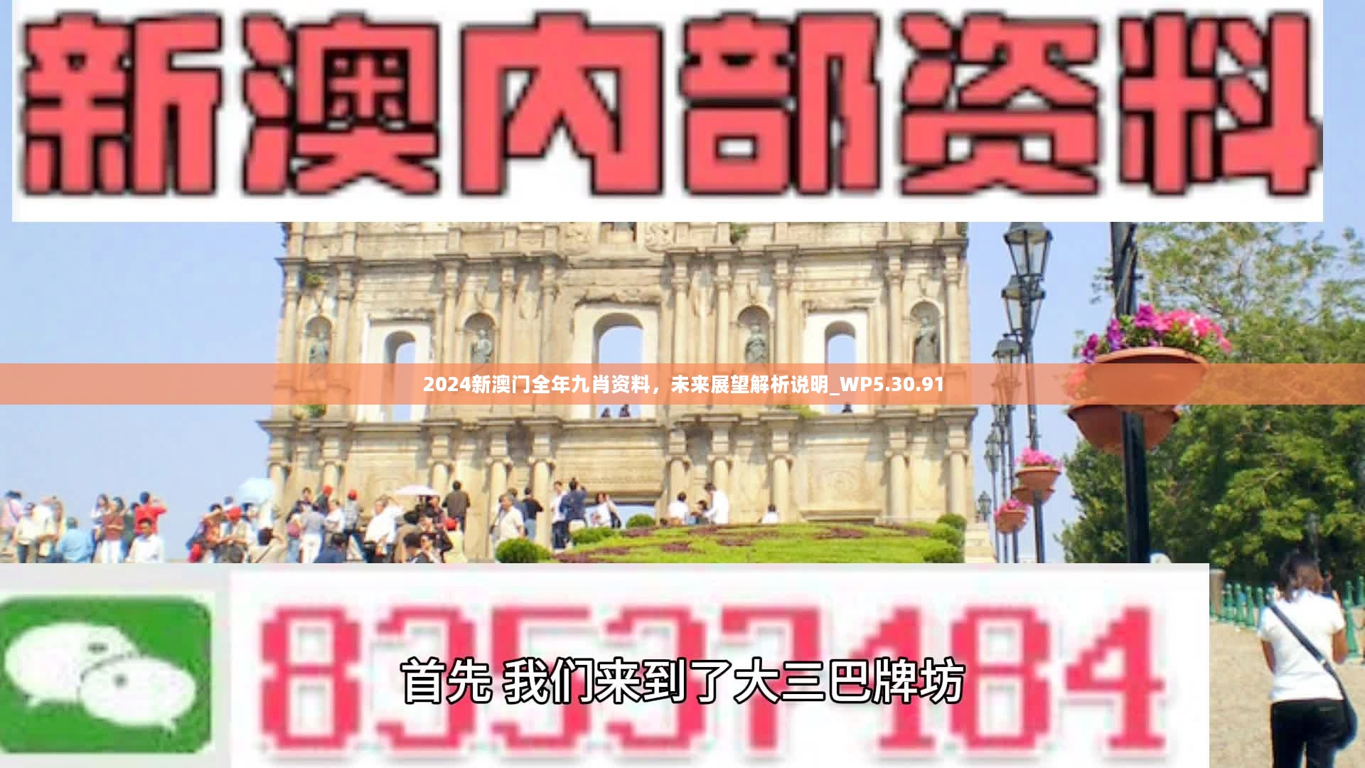 新澳門精準(zhǔn)九肖，揭秘預(yù)測技巧與策略，揭秘新澳門精準(zhǔn)九肖預(yù)測技巧與策略
