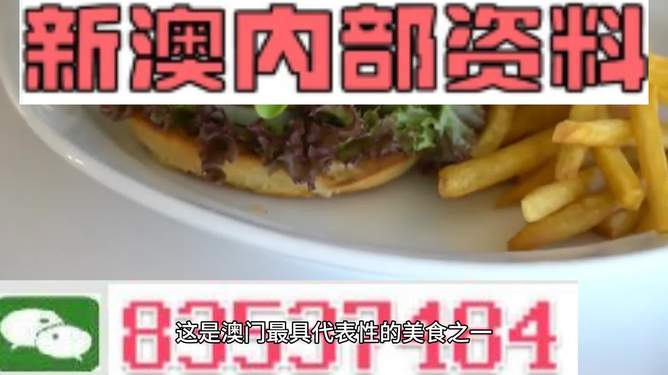 新澳2024生肖最新資料解析與預測，新澳2024生肖解析與預測報告