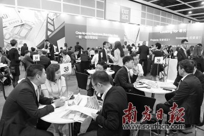 香港三期內(nèi)必開一期論壇，深度解析與探討，香港三期內(nèi)必開一期深度論壇，解析與探討