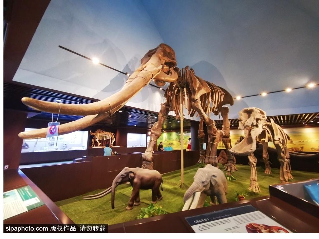 北京必去的十大博物館——探尋千年文化的精華之旅，北京必游十大博物館，千年文化精華之旅探尋記