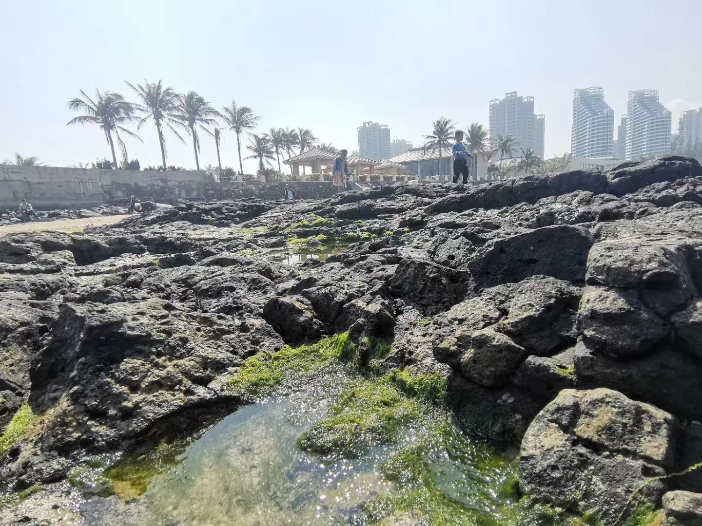 解放海南島電視劇全集下載，探尋30集完整劇情，解放海南島電視劇全集下載，探尋完整的30集劇情探索