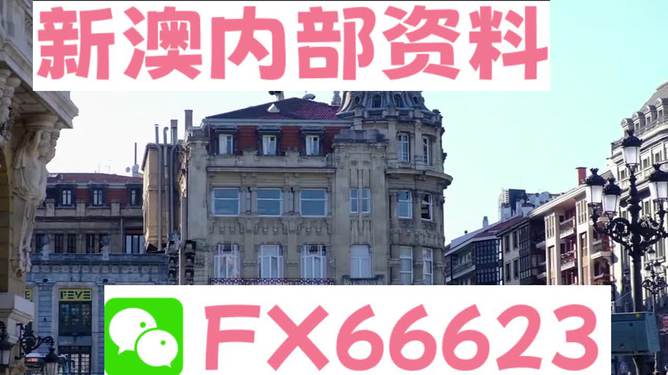澳門六資料大全，深度探索與揭秘，澳門六資料大全，深度探索與揭秘之旅