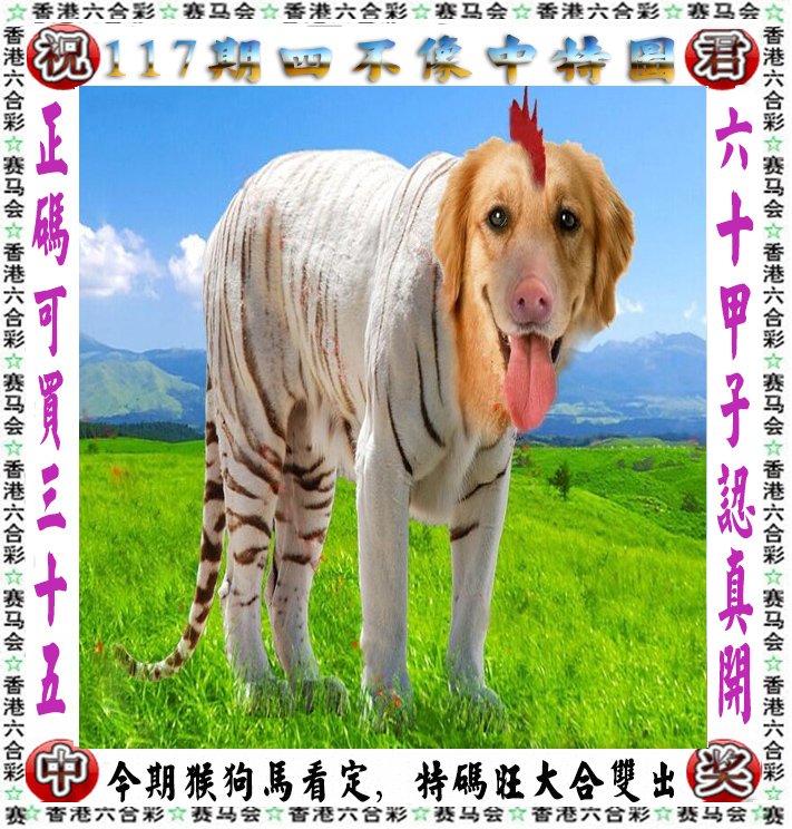 王中王四不像一肖論壇，探索神秘論壇的世界，王中王四不像一肖論壇，神秘論壇世界的探索之旅