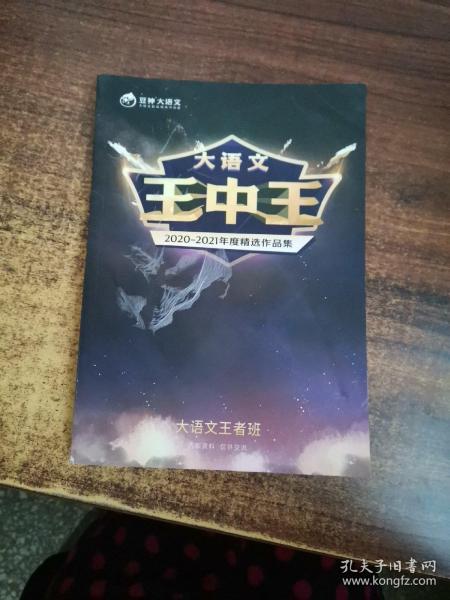 中王中王資料一肖中特天，深度解析與探索，中王中王資料一肖中特天，深度探索與解析報告