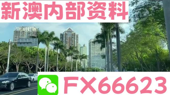 新澳資料哪里看，全面指南與資源匯總，新澳資料全面指南與資源匯總查看攻略