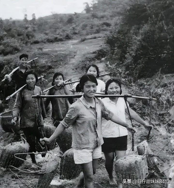 關(guān)于49圖庫圖片資料的專業(yè)解析與探索，49圖庫圖片資料深度解析與探索