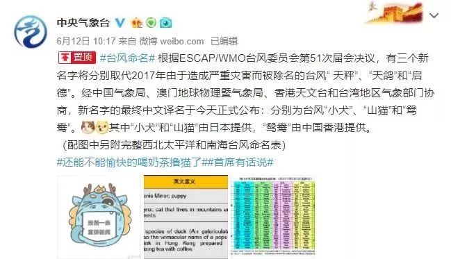 新澳門必中三肖三碼三期必開劉伯，揭秘彩票背后的秘密與策略，揭秘彩票背后的秘密與策略，劉伯的新澳門三期必開三肖三碼預(yù)測技巧
