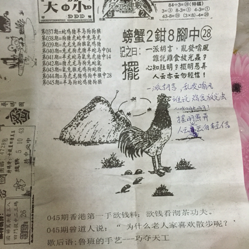 揭秘林中的高手王中王猜一肖的奧秘，揭秘林中之王王中王與生肖奧秘探秘