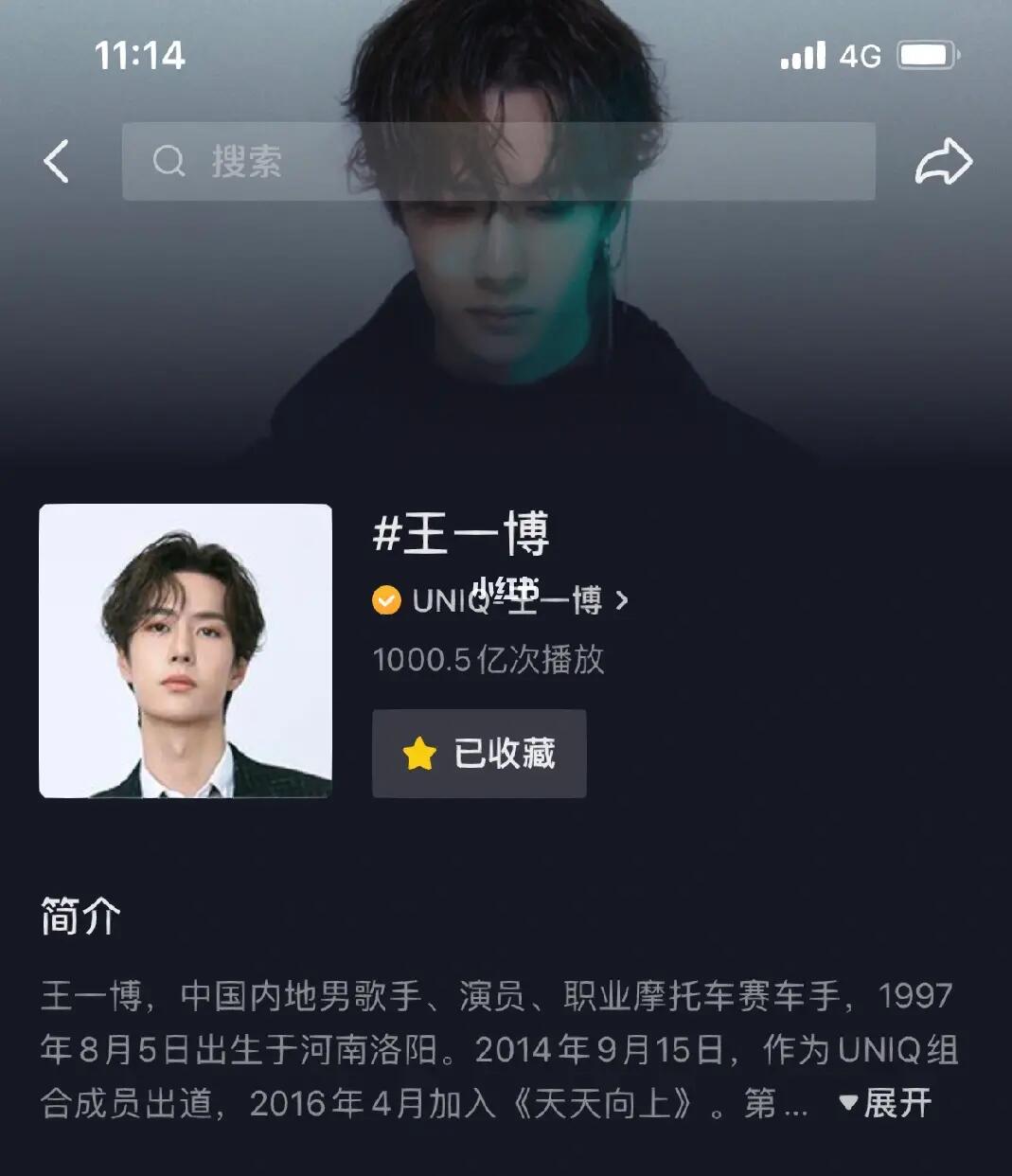 王中王一肖內(nèi)部資料詳解，王中王一肖內(nèi)部資料深度解析
