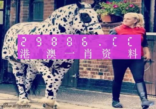 香港網(wǎng)址王中王一肖中特，探索與解析，香港網(wǎng)址王中王一肖中特，深度探索與解析