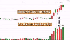 王中王一肖平碼，揭秘背后的故事與SEO策略，王中王一肖平碼背后的故事與SEO策略揭秘