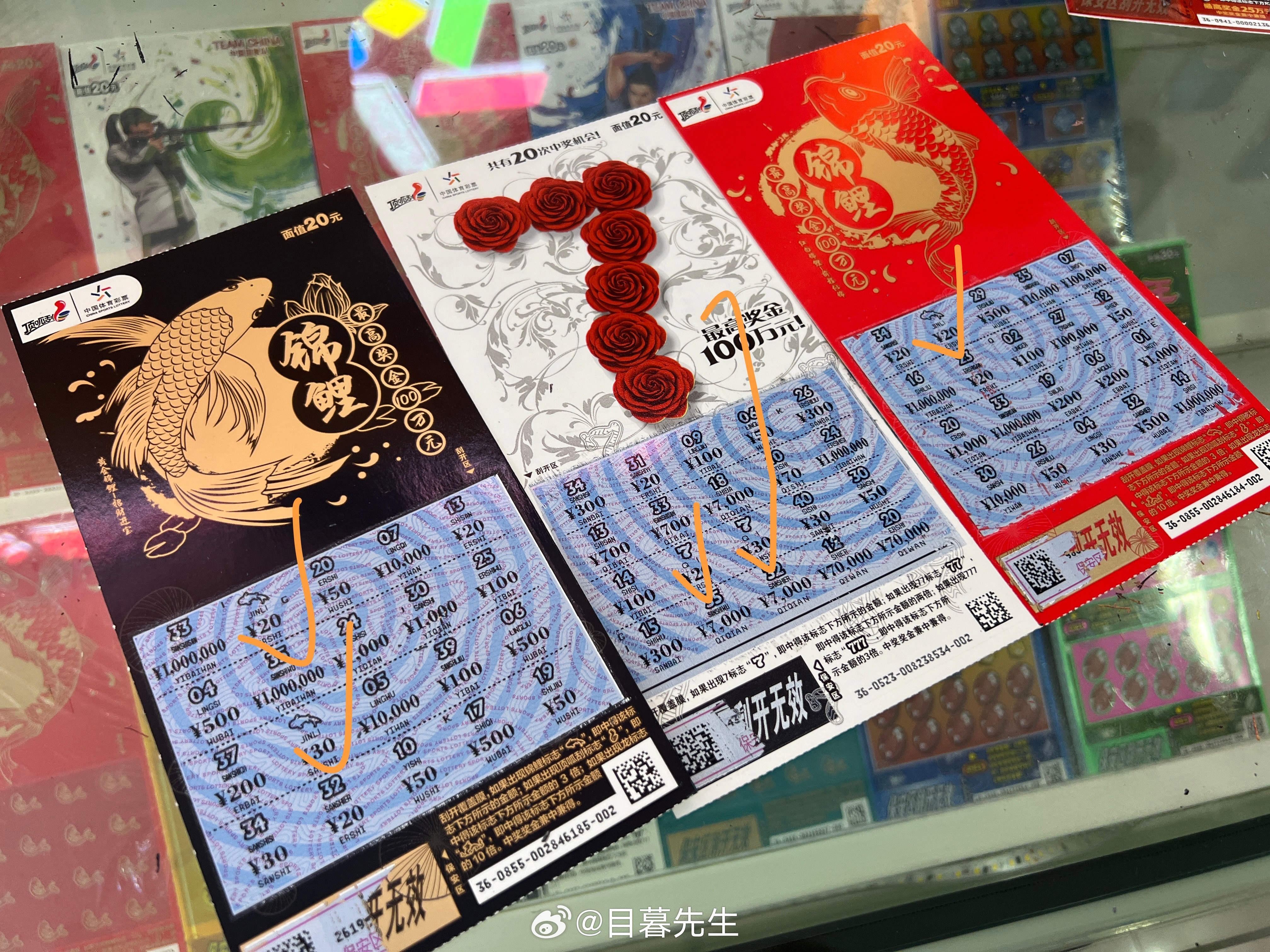 全年王中王一肖中特，深度解析與預(yù)測，全年王中王一肖深度解析與預(yù)測，揭秘特肖趨勢