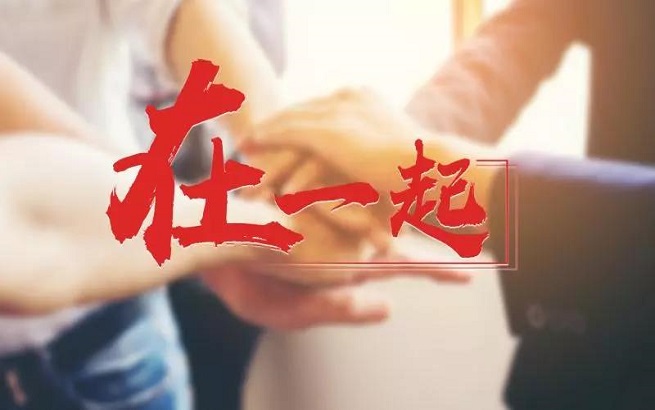 王中王一字一句解一肖——深度解析生肖奧秘，深度解析生肖奧秘，王中王揭示生肖秘密