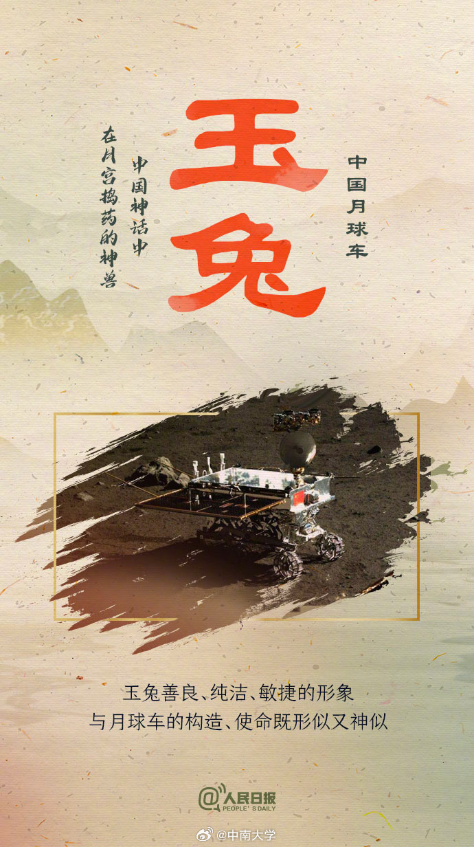 揭秘王中王平特一肖免會公開的奧秘，王中王平特一肖免公開揭秘奧秘