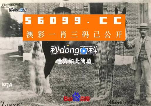 澳門王中王心水王中王，探索與解析，澳門王中王心水奧秘，深度探索與解析
